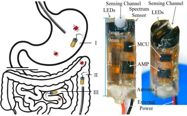 Publication thumbnail